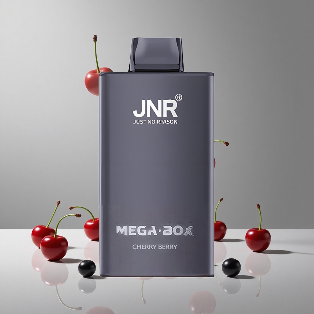 JNR Mega Box 25000パフチェリーベリータイプC急速充電デュアルメッシュコイル