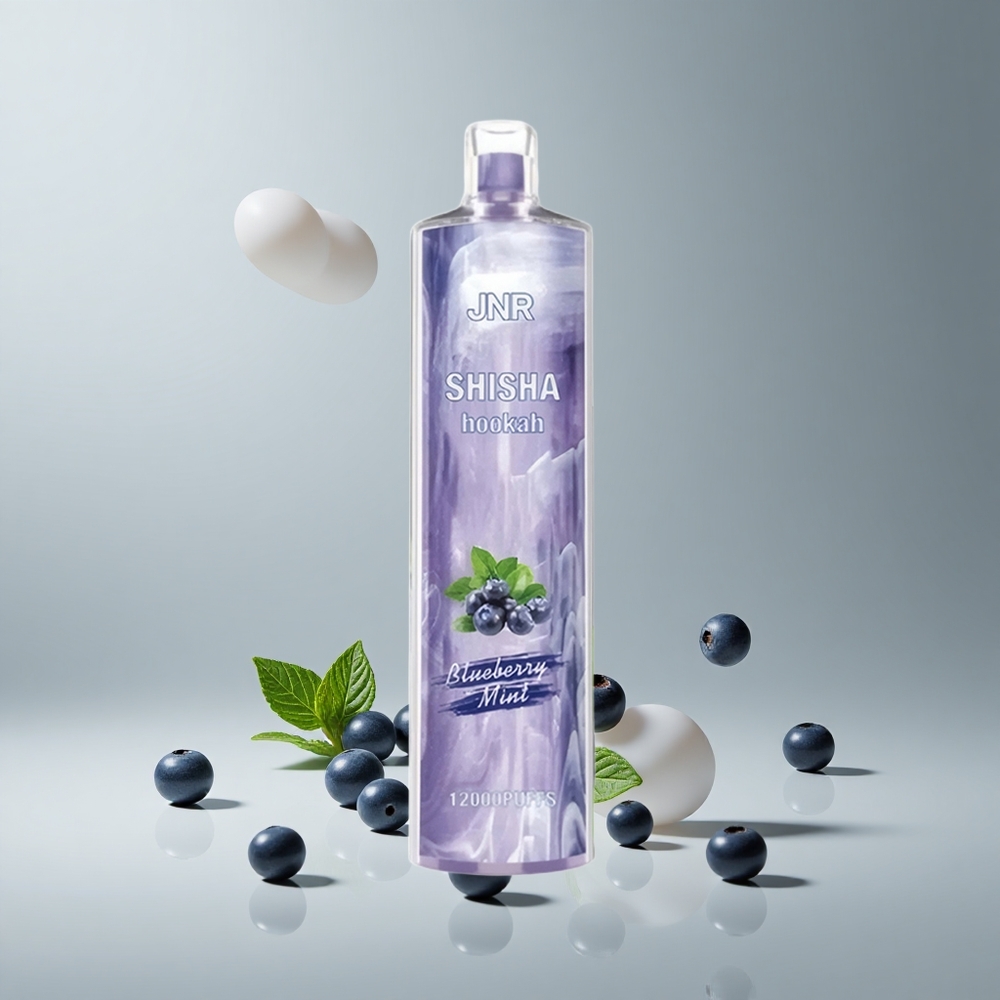 JNR Shisha Hookah 12000パフ 24ml ブルーベリーミント