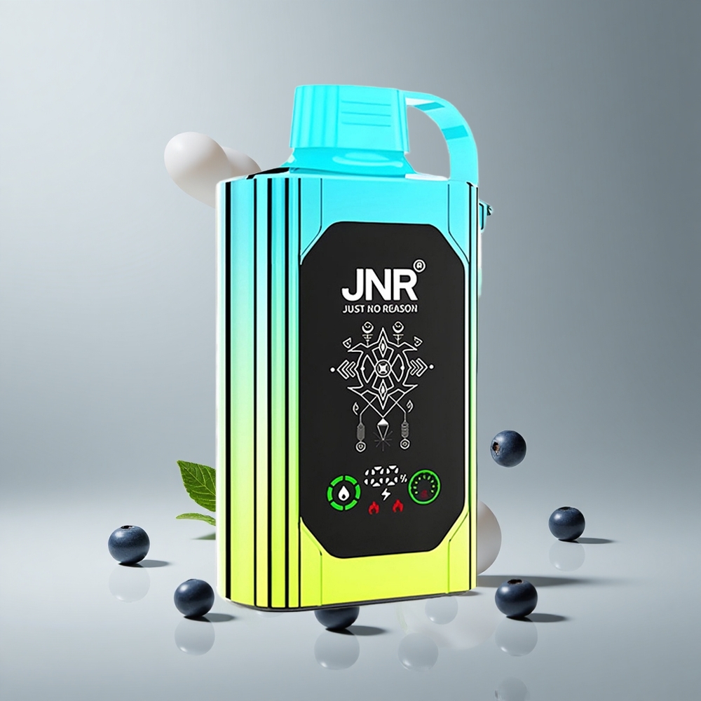 JNR Shisha Hookah Box 20500パフ ブルーベリーミント デュアルメッシュコイル タイプC急速充電